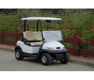 2-seater golf cart